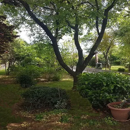 Anita - One Bedroom With Garden Apartament